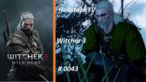 Witcher 43